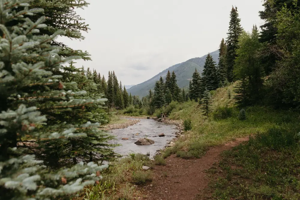 The Animas River trail through Durango